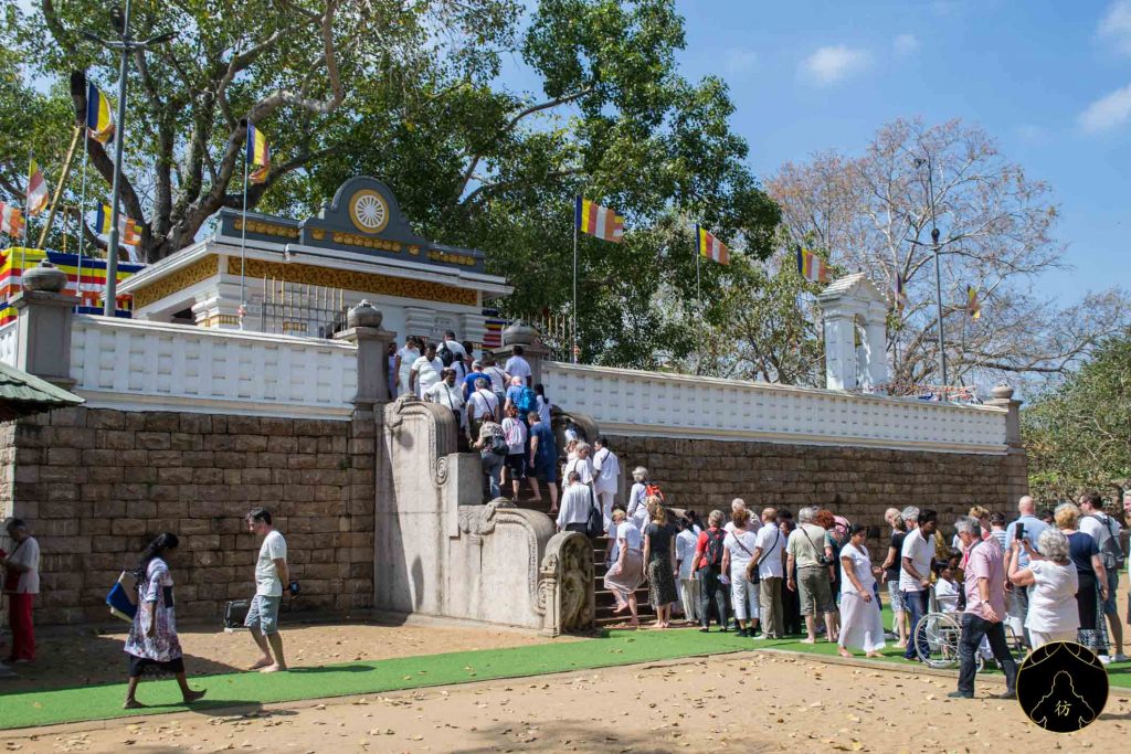 Anuradhapura Sri Lanka - Sri Maha Bodhi (Arbre Sacré) 1