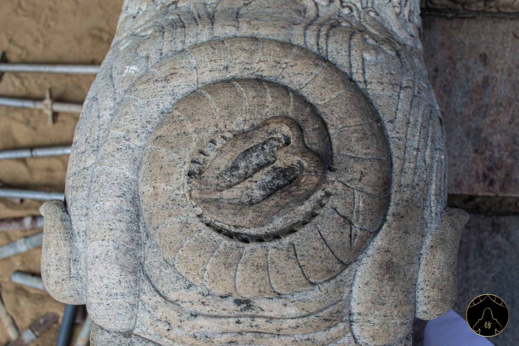 Anuradhapura Sri Lanka - Sri Maha Bodhi (Arbre Sacré) 5