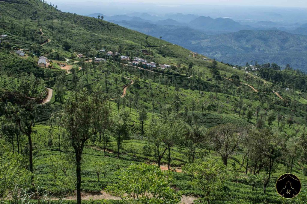 Ella Sri Lanka - Lipton's Seat 9