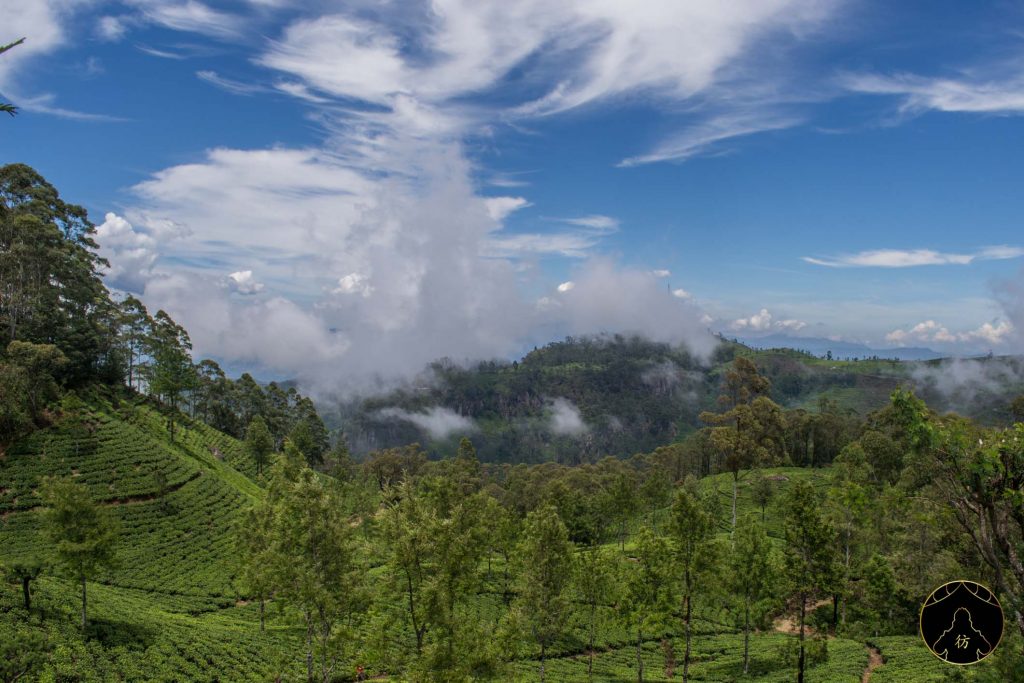 Ella Sri Lanka - Lipton's Seat 9