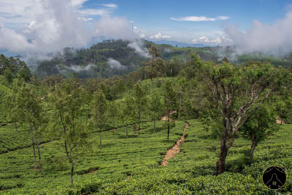 Ella Sri Lanka - Lipton's Seat 9