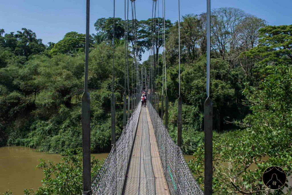 Kandy Sri Lanka - The Botanical Garden of Peradeniya