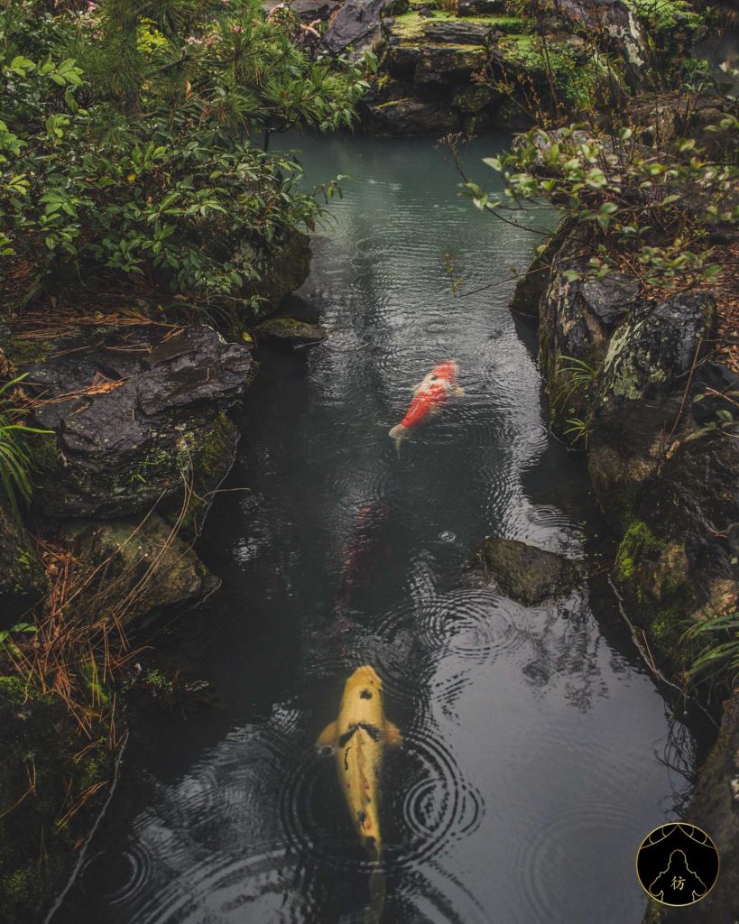 Le jardin Shinkei-en 1 Le jardin Shinkei-en 1