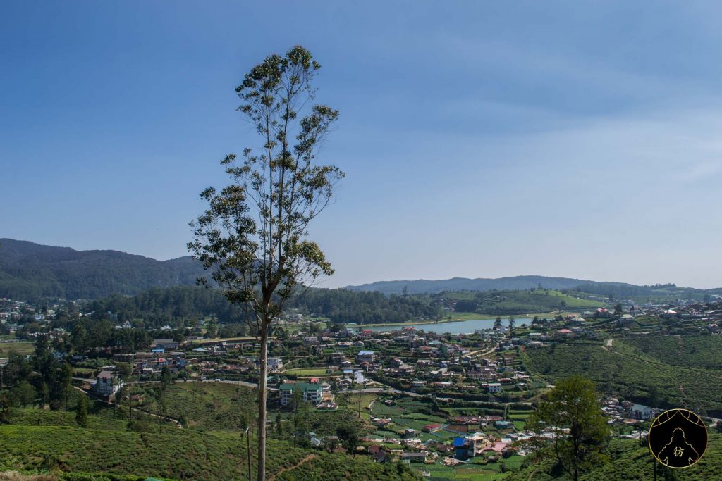 Nuwara Eliya Sri Lanka - Single Tree Hill 2