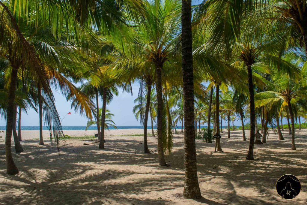 Tangalle Sri Lanka - Mangrove Beach 5