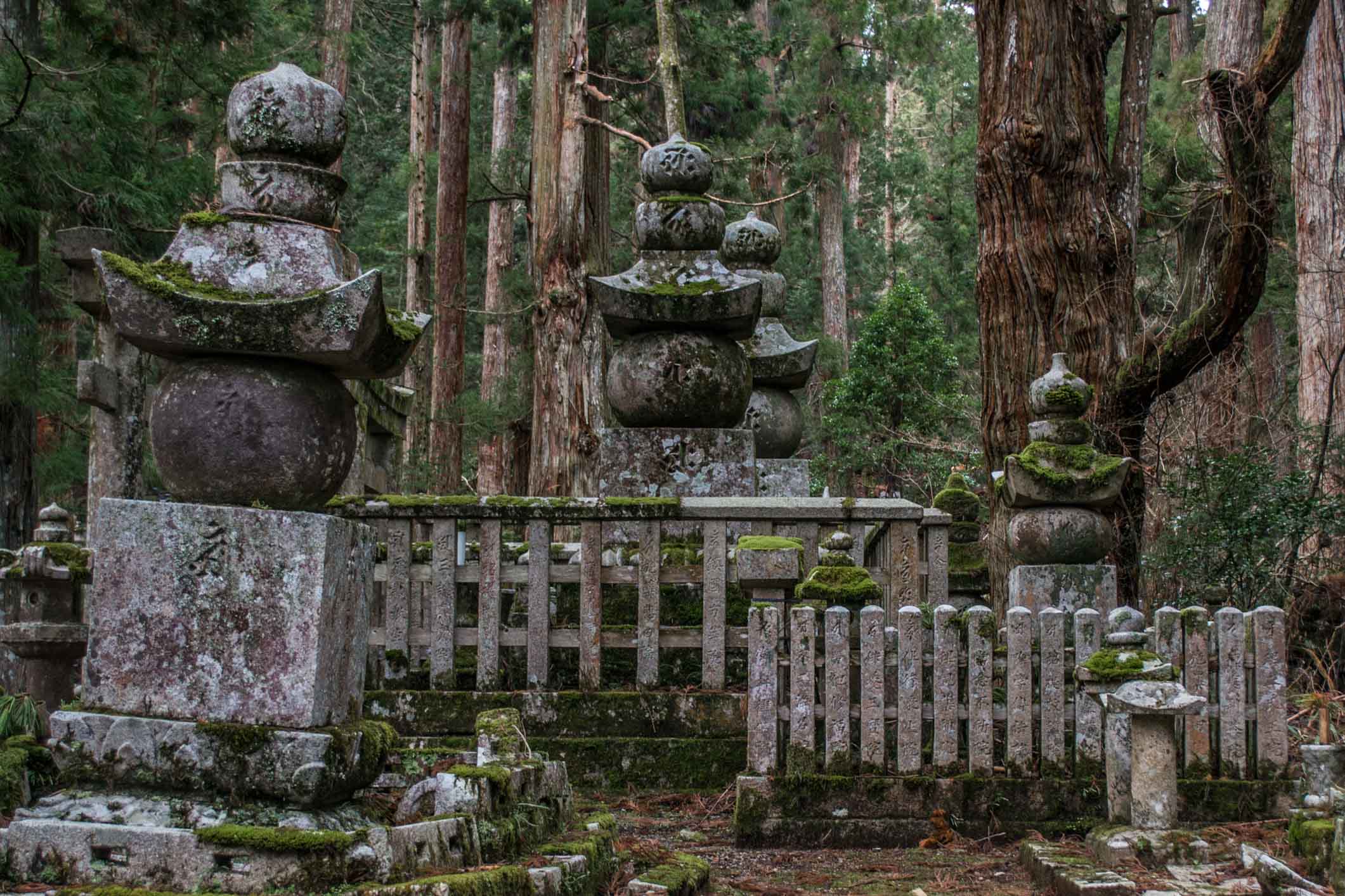 Koyasan Japon - Le cimetière d'Okunoin 15 Couverture