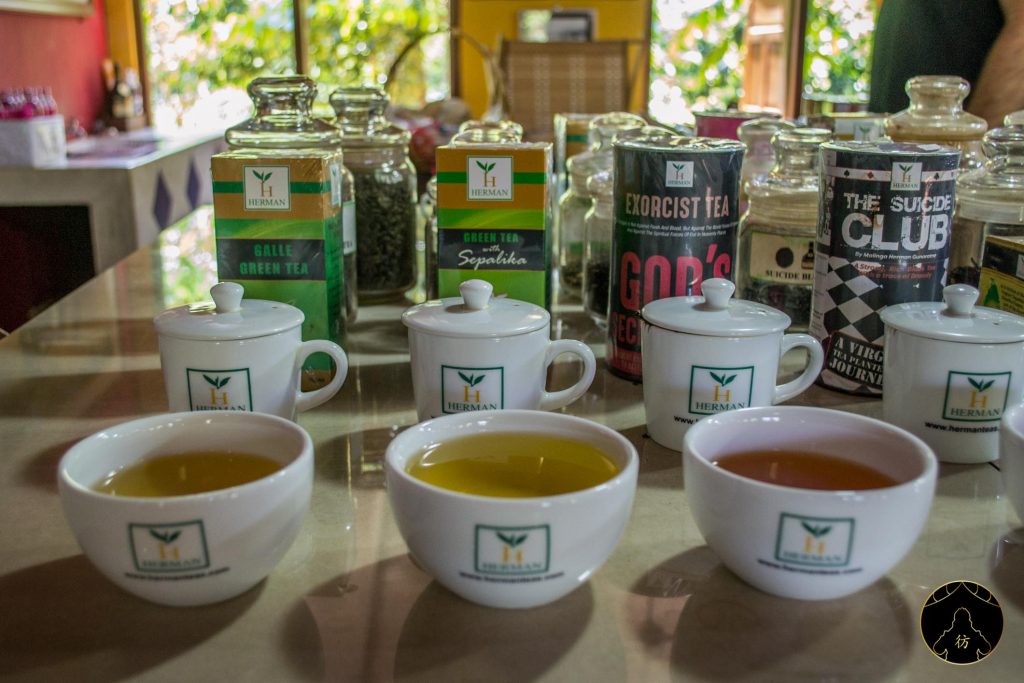 Mirissa Sri Lanka - Virgin White Tea 6