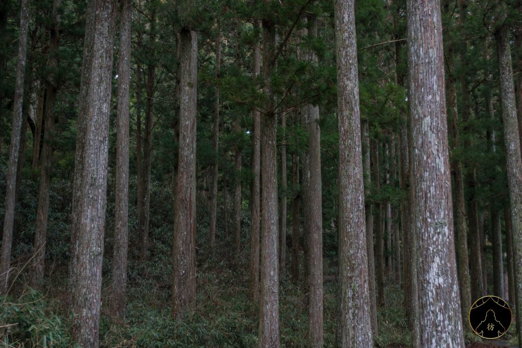 Koyasan Japon - Le cimetière d'Okunoin 2