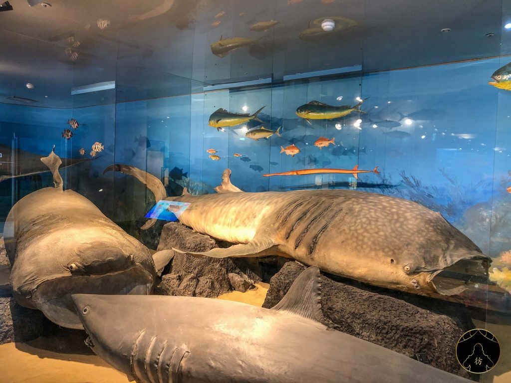 Île de Jeju Corée du Sud #4 - Le musée folklorique de Jeju 3
