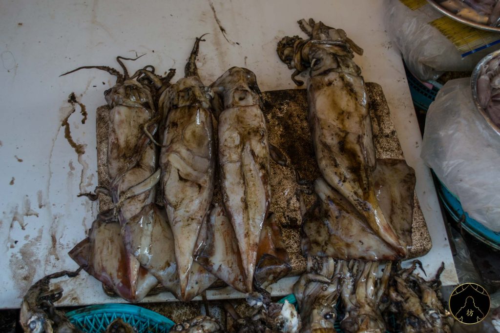 Busan Corée du Sud - Le marché aux poissons de Jalgachi 4