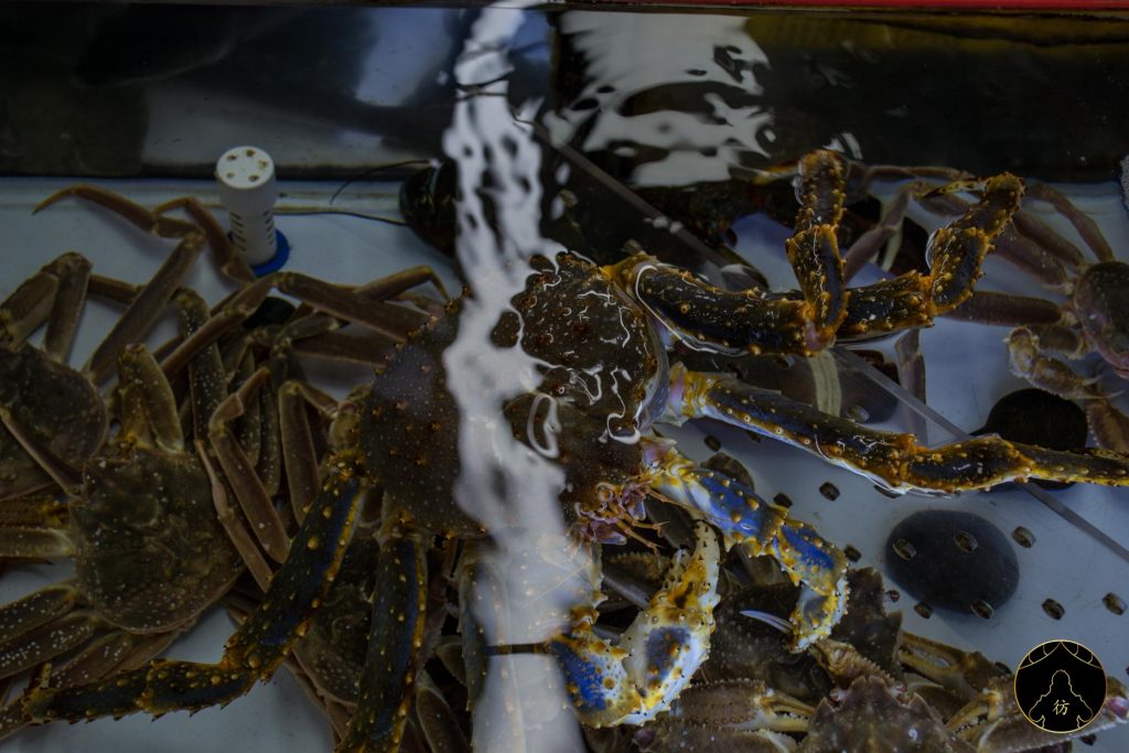 Busan Corée du Sud - Le marché aux poissons de Jalgachi 4
