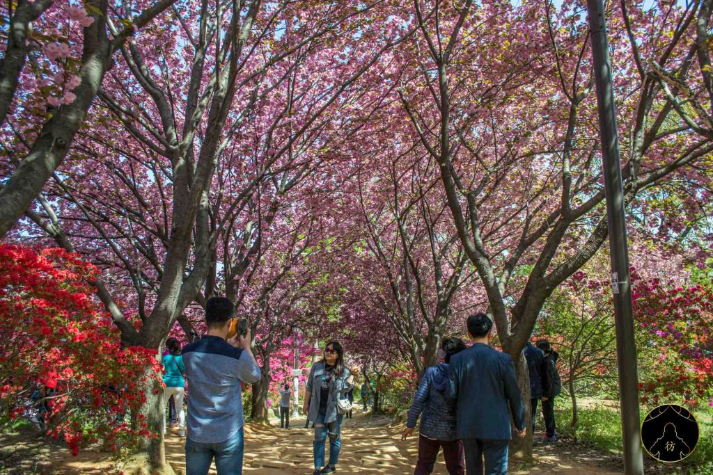 Jeonju Corée du Sud #5 - Le parc Wansan 3