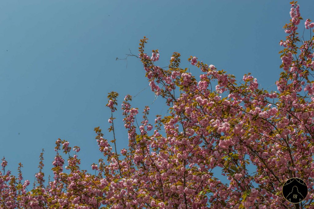 Jeonju Corée du Sud #5 - Le parc Wansan 3