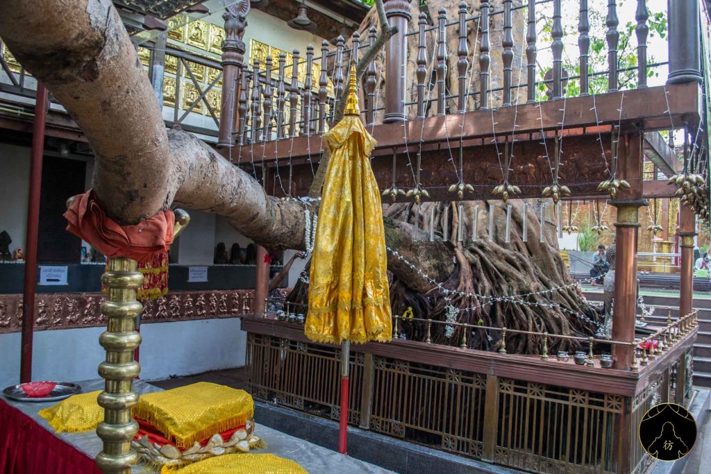 Colombo Sri Lanka #1 - Le temple de Gangaramaya 7