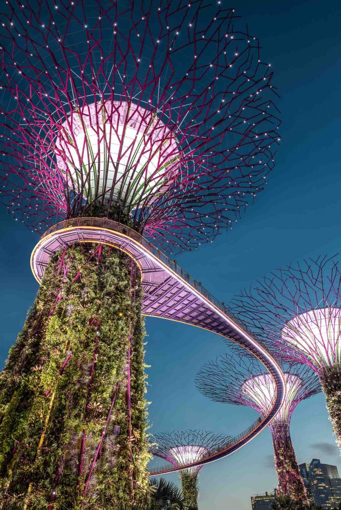 Singapour Gardens by the bay