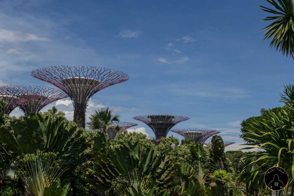 Visiter Singapour #6 - Gardens by the bay 1