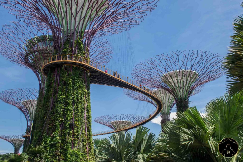 Visiter Singapour #6 - Gardens by the bay 2