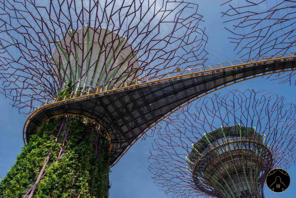 Visiter Singapour #6 - Gardens by the bay 2