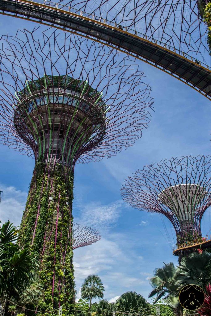 Visiter Singapour #6 - Gardens by the bay 4