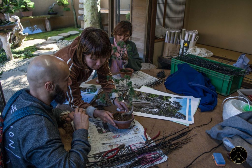 Tokyo Taxi Tour Japon - Shunkaen Bonsai Museum 4