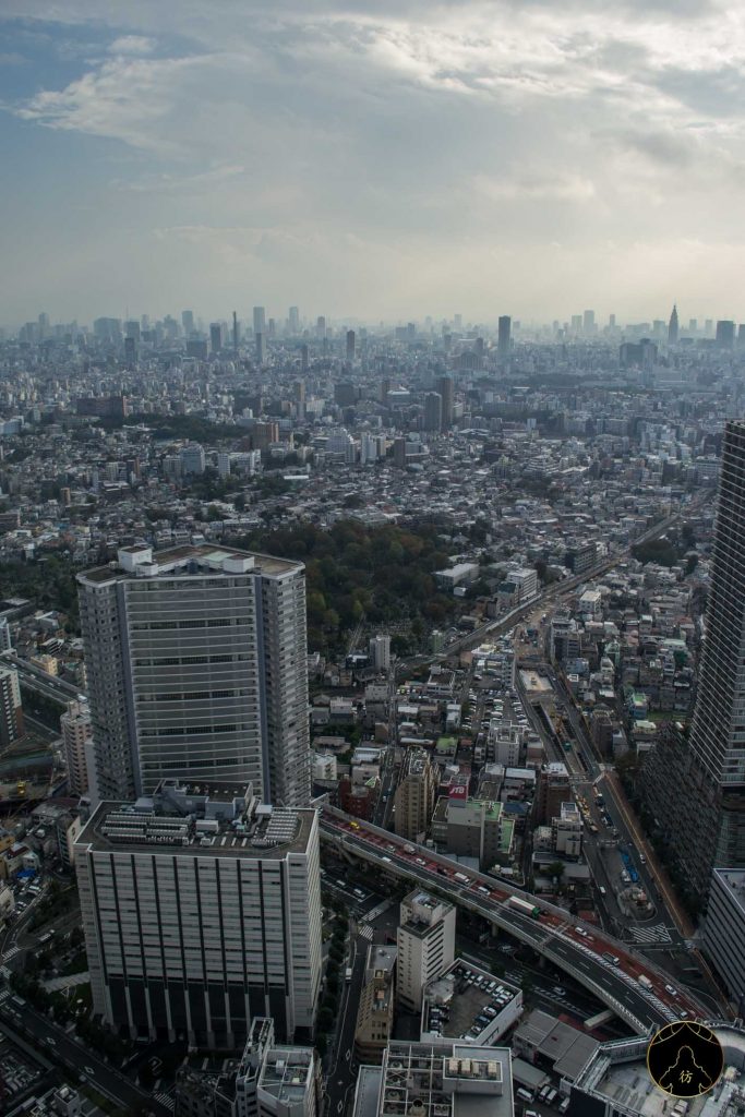 Tokyo Taxi Tour Sunshine 60 Observatoire 1