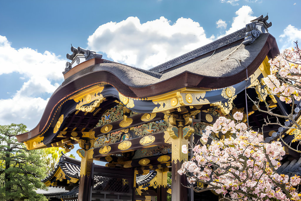 Nijo Castle Kyoto Sakura