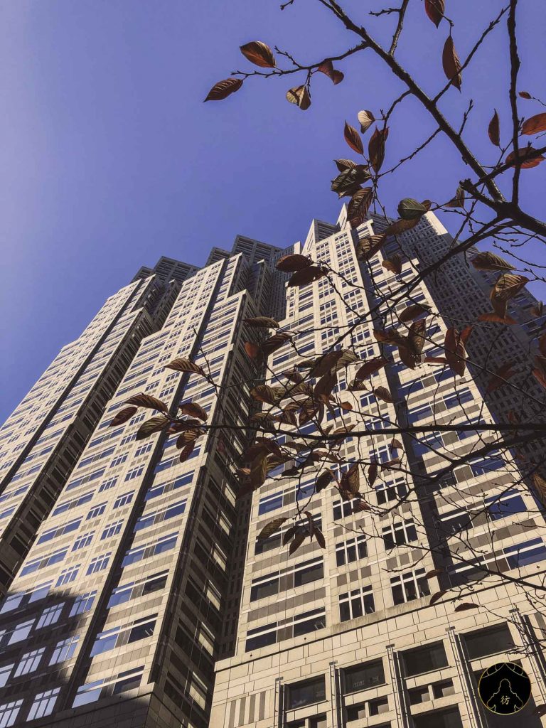 Tokyo Metropolitan Government Immeuble