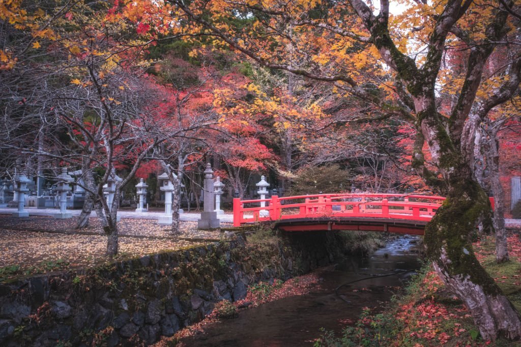 Okunoin In Autumn Wakayama