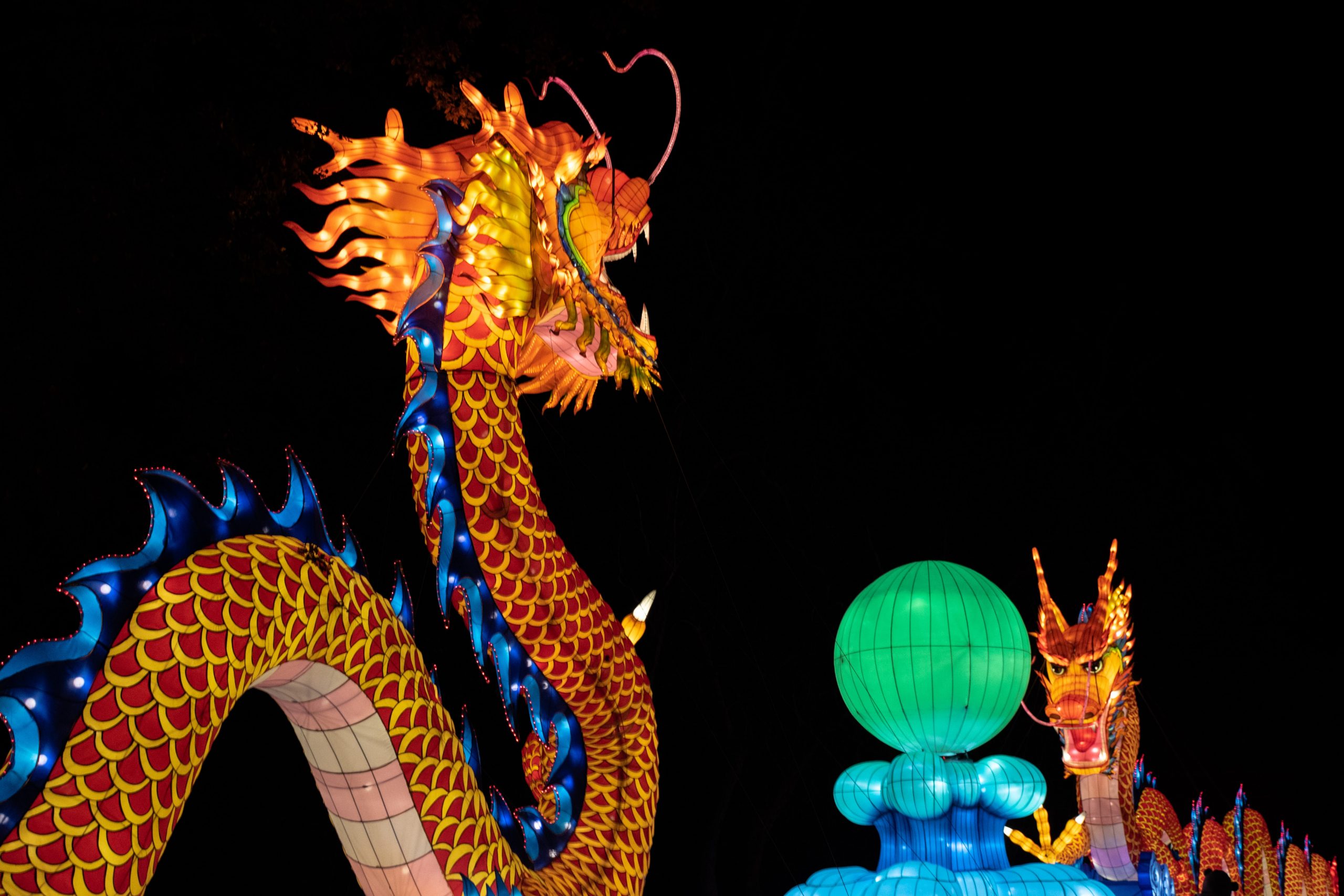 Chinese Dragon Zodiac