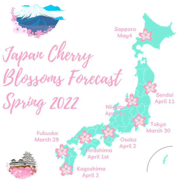 Sakura Japan - Guide To Enjoy The Cherry Blossom Festival | Spring 2022