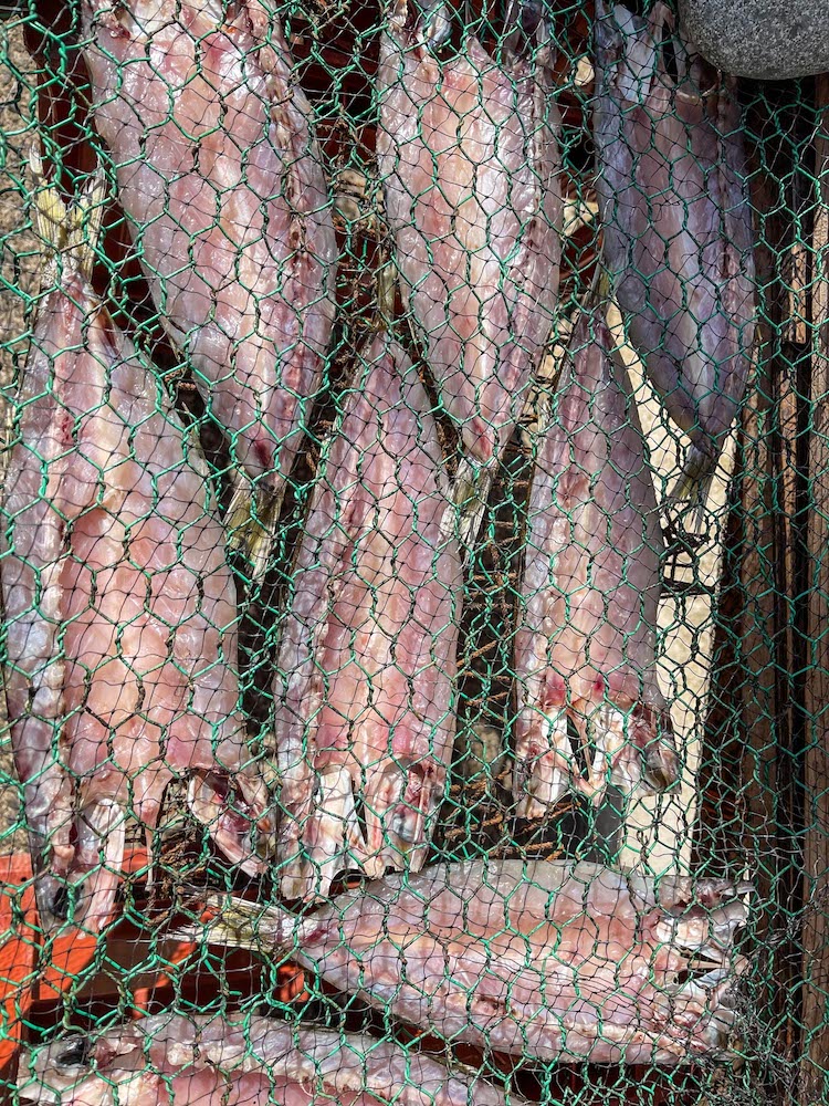 Ojika Nagasaki Japan - Dried Fish