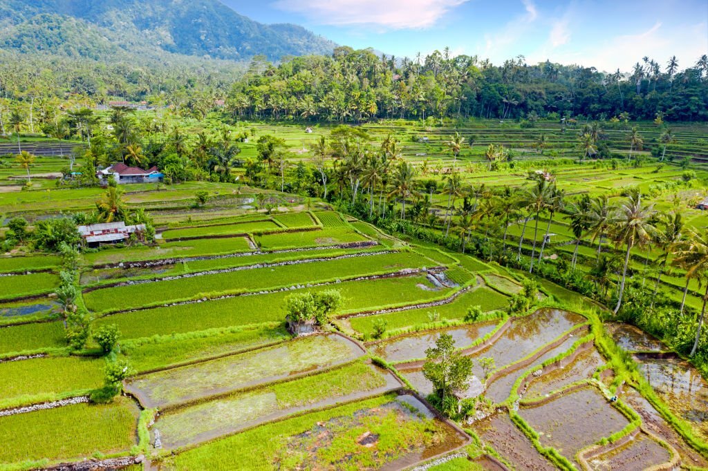 Sidemen Bali Rizieres en plateau