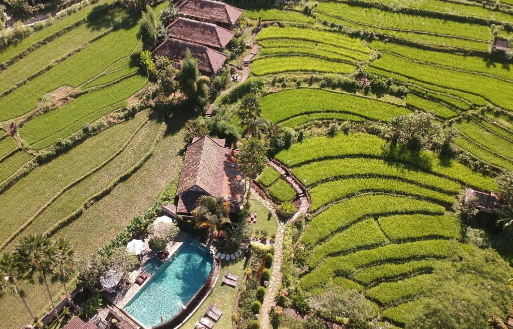 Sawah Indah Villa Sidemen Bali 1