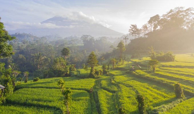 Itinéraire Bali 15 Jours