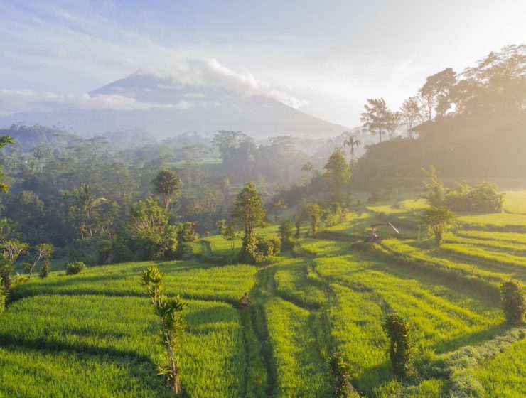 Itinéraire Bali 15 Jours