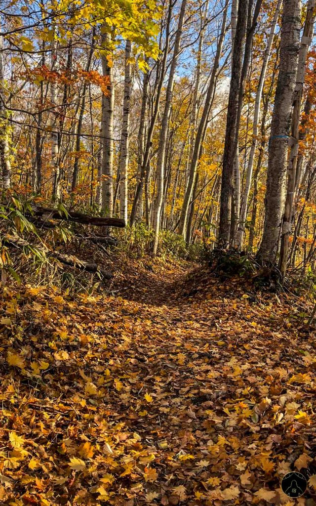 Hangetsuko Niseko Hokkaido 1