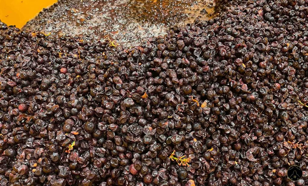 Niki Hills Yoichi Hokkaido Winery 3