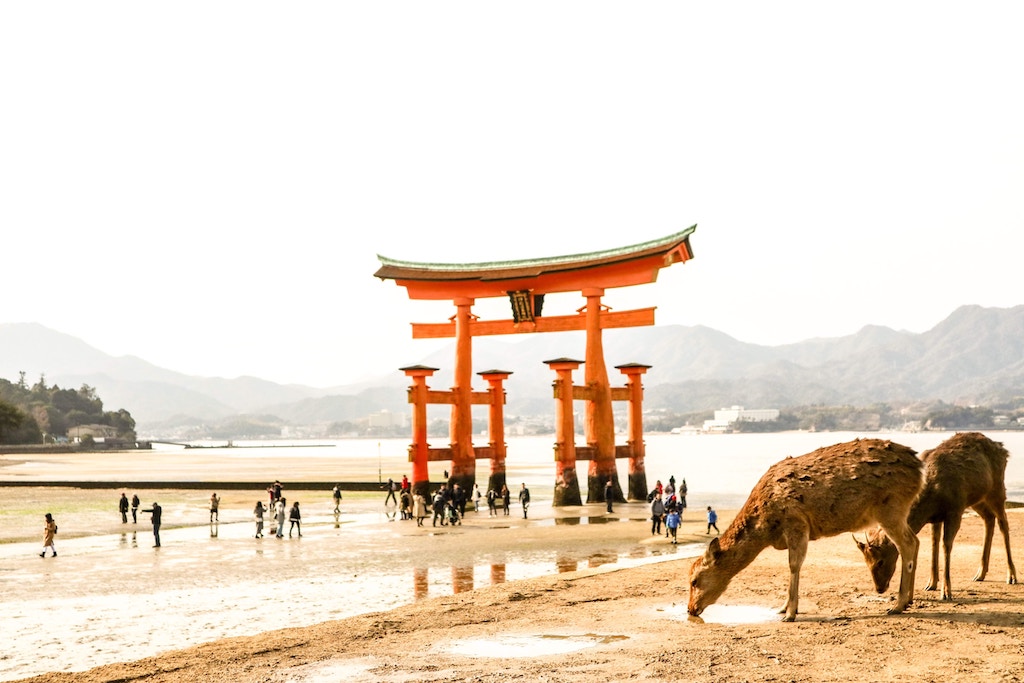 Daims Miyajima