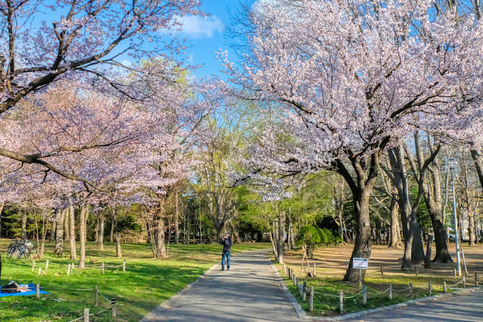 Maruyama parc sapporo Maruyama parc sapporo