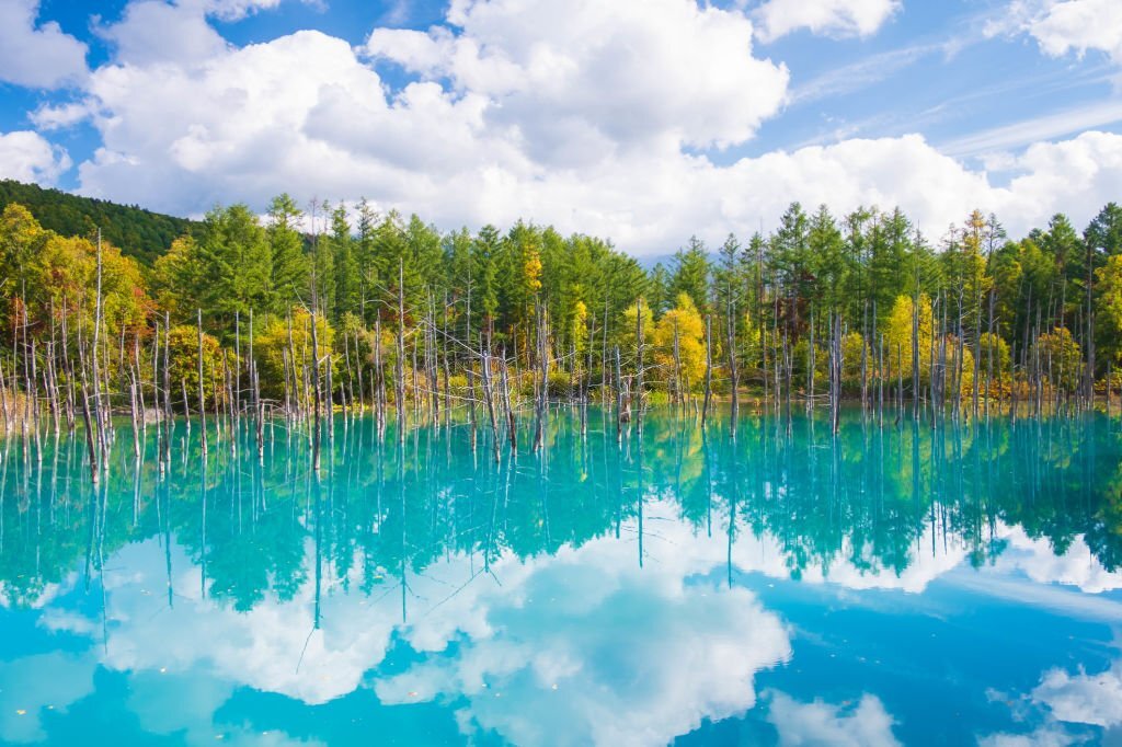 Biei Hokkaido Blue Pond