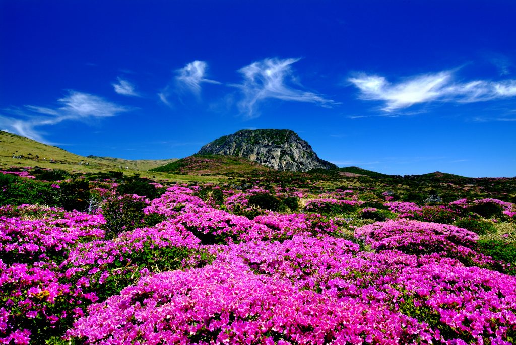 Parc National De Hallasan Corée du Sud