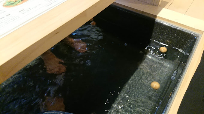Ashiyu Café & Bar Donyoku